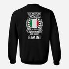 Ich brauche keine Therapie, nur Rimini Sweatshirt, Italien Urlaub Erinnerung