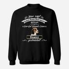 Beagle-Liebhaber Sweatshirt: Glück kann man küssen, Beagle streicheln