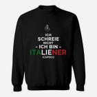 Lustiges Italiener Sweatshirt Ich schreie nicht mit Flaggenfarben