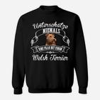 Welsh Terrier Damen-Sweatshirt: Nie Unterschätzen, Frau mit Welsh Terrier