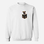 Hunde im Karton Herren Sweatshirt, Lustiges Weißes Tee für Tierfreunde