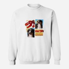 Fünf Freunde Und Das Tal Der Dinosaurier Timmy Sweatshirt - Seseable