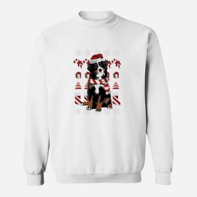 Berner Sennenhund Weihnachtspulli Sweatshirt - Seseable De