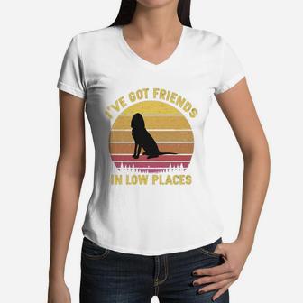 Vintage Bloodhound I Have Got Friends In Low Places Dog Lovers Women V-Neck T-Shirt - Seseable