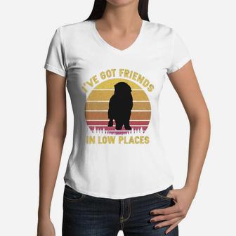 Vintage Newfoundland I Have Got Friends In Low Places Dog Lovers Women V-Neck T-Shirt - Seseable
