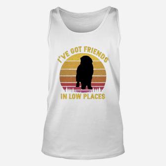 Vintage Newfoundland I Have Got Friends In Low Places Dog Lovers Unisex Tank Top - Seseable