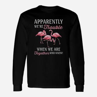 Apparently We Are Trouble When We Are Together Who Knew Long Sleeve T-Shirt - Seseable