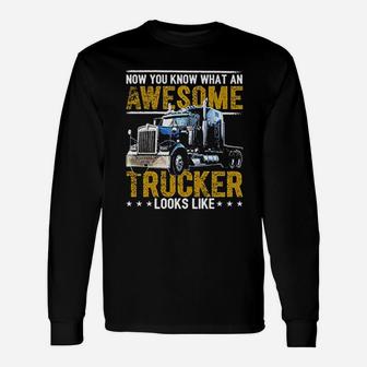 Awesome Trucker Big Rig Sem Trailer Truck Driver Long Sleeve T-Shirt - Seseable