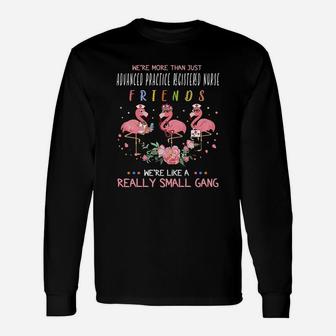 We Are More Than Just Advanced Practice Registered Nurse Friends We Are Like A Really Small Gang Flamingo Nursing Job Long Sleeve T-Shirt - Seseable