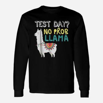 Test Day Llama Teacher Exam Long Sleeve T-Shirt - Seseable