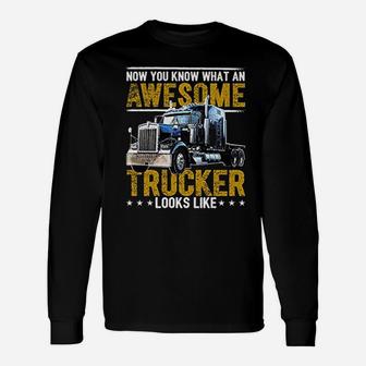 Trucker Big Rig Semi Trailer Truck Driver Long Sleeve T-Shirt - Seseable