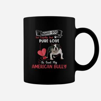 I Asked God For Loyalty And Pure Love He Sent My American Bully Funny Dog Lovers Coffee Mug - Seseable