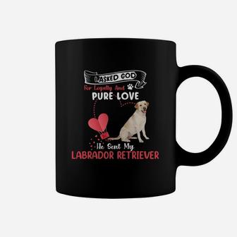 I Asked God For Loyalty And Pure Love He Sent My Labrador Retriever Funny Dog Lovers Coffee Mug - Seseable