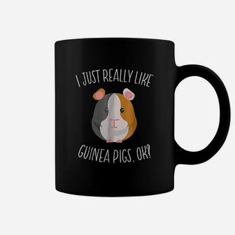 I Just Really Like Guinea Pigs Guinea Pig Lover Gifts Coffee Mug - Seseable