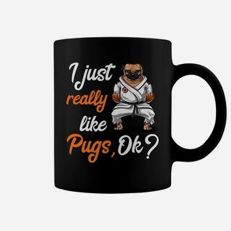 I Just Really Like Pug Dogs Funny Karate Martial Arts Coffee Mug - Seseable
