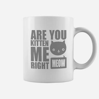 Are You Kitten Me Right Meow Best Cat Lover Gifts Coffee Mug - Seseable