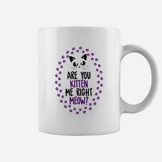 Funny Are You Kitten Me Meow Cat Lover Perfect Gift Coffee Mug - Seseable
