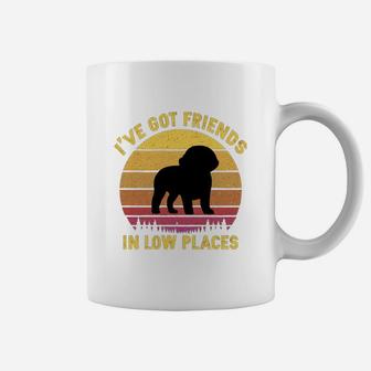 Vintage Bichons Frise I Have Got Friends In Low Places Dog Lovers Coffee Mug - Seseable