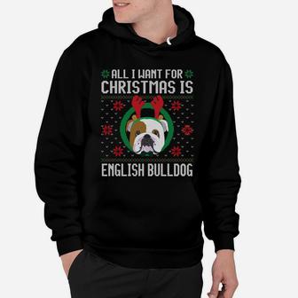 All I Want For Christmas Is English Bulldog Dog Xmas Hoodie - Seseable