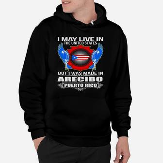 Arecibo Puerto Rico Patriotic Gifts Tees Black Youth Hoodie - Seseable