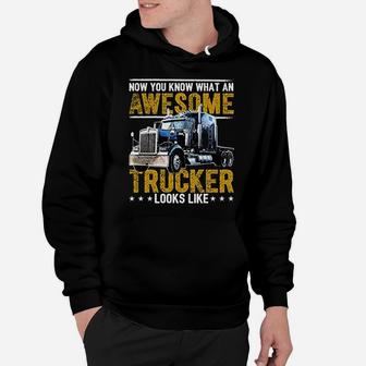 Awesome Trucker Big Rig Semi Trailer Truck Driver Gift Hoodie - Seseable
