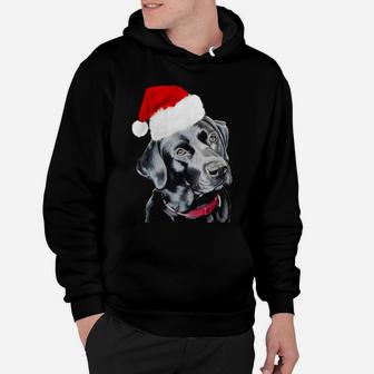 Black Labrador At Christmas Hoodie - Seseable