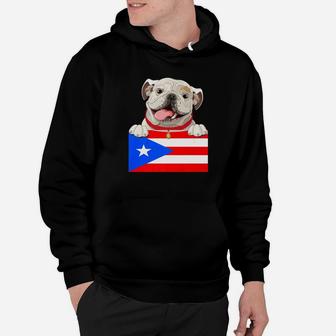 English Bulldog Puerto Rico Flag Vintage Dog Boricua Hoodie - Seseable