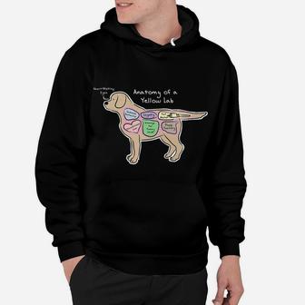 Funny Labrador Dog Anatomy Of A Yellow Lab Hoodie - Seseable