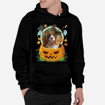 Happy Halloween Pumpkin Cavalier King Charles Spaniel Dog Hoodie - Seseable