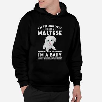 I Am Not A Maltese My Mom Said I Am A Baby Hoodie - Seseable