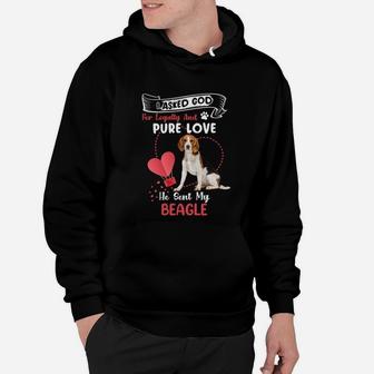 I Asked God For Loyalty And Pure Love He Sent My Beagle Funny Dog Lovers Hoodie - Seseable