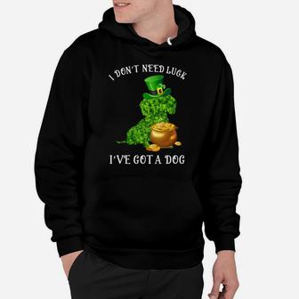 I Do Not Need Luck I Have Got A Dachshund Shamrock St Patricks Day Dog Lovers Hoodie - Seseable