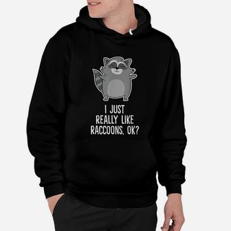 I Just Really Like Raccoons Funny Love Raccoons Hoodie - Seseable