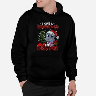 I Want A Hippopotamus For Christmas Cute Christmas Santa Hippopotamus Hippo Lover Hoodie - Seseable