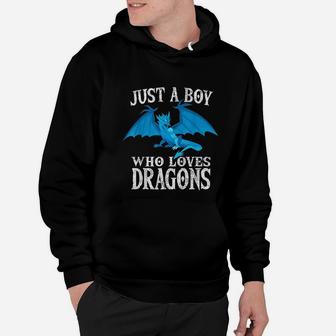 Just A Boy Who Loves Dragons Funny Dragon Costume Gift Hoodie - Seseable
