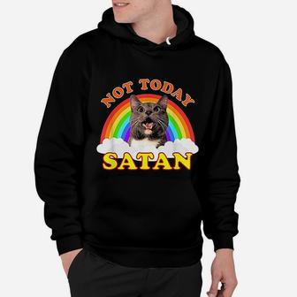Not Today Cat Rainbow Hoodie - Seseable