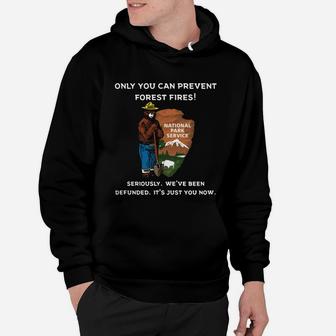 Only You Can Prevent Forest Fires Hoodie - Seseable