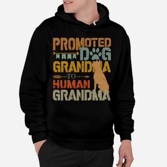 Promoted From Dog Grandma To Human Grandma Retro Vintage Hoodie | Seseable FR