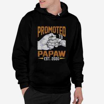 Promoted To Papaw Hoodie - Seseable