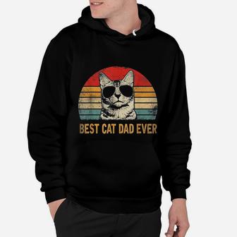 Retro Best Cat Dad Ever Funny Cat Lover Dad Fathers Day Hoodie - Seseable