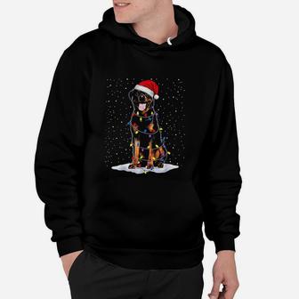 Rottweiler Santa Christmas Tree Lights Hoodie - Seseable