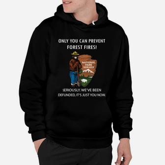 Smokey Bear Only You Can Prevent Forest Fires Vintage Hoodie - Seseable