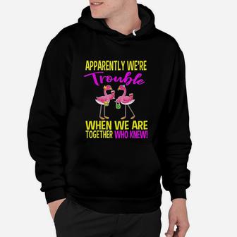 Together We Are Trouble Gifts For Funny Women Cruising Hoodie - Seseable