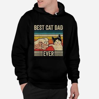 Vintage Best Cat Dad Ever Bump Fit Fathers Day Hoodie - Seseable