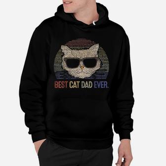 Vintage Best Cat Dad Ever Kitty Cats Lover Father Day Hoodie - Seseable