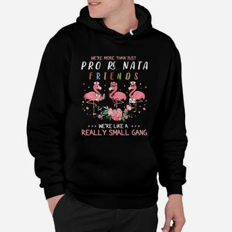 We Are More Than Just Pro Re Nata Friends We Are Like A Really Small Gang Flamingo Nursing Job Hoodie - Seseable
