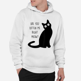 Are You Kitten Me Right Meow Cat Lover Hoodie - Seseable