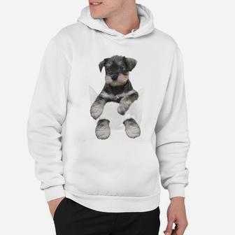 Cute Animals In Pocket, Schnauzer Puppy In Pocket Hoodie - Seseable