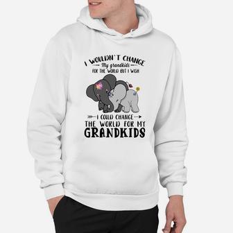 Elephant I Could Change World For My Grandkids Hoodie - Seseable