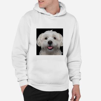 Fröhlicher Hund Malteser Motiv Hoodie, Weißes Lustiges Tee - Seseable